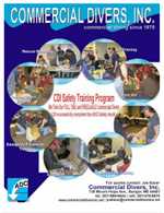CDI Safety Training Program